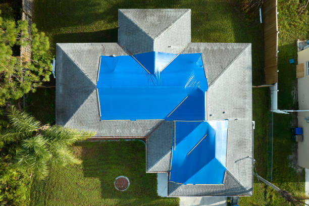 Best Gutter Installation and Repair  in Mastic, NY