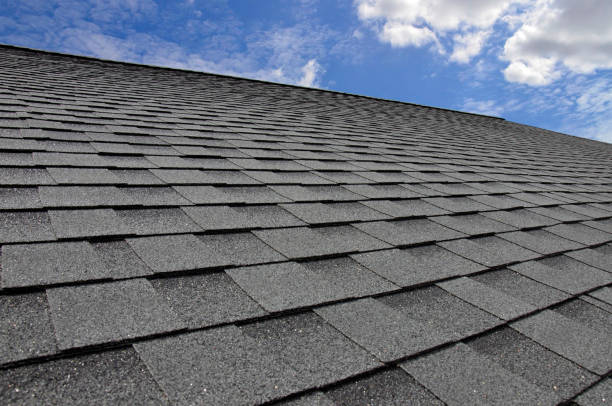 Best Roof Maintenance and Cleaning  in Mastic, NY
