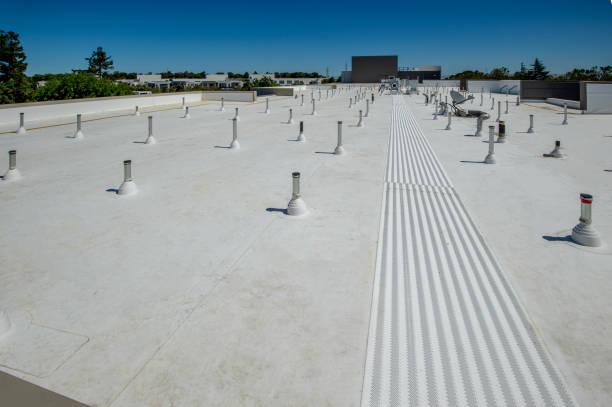 Best Roof Coating Services  in Mastic, NY